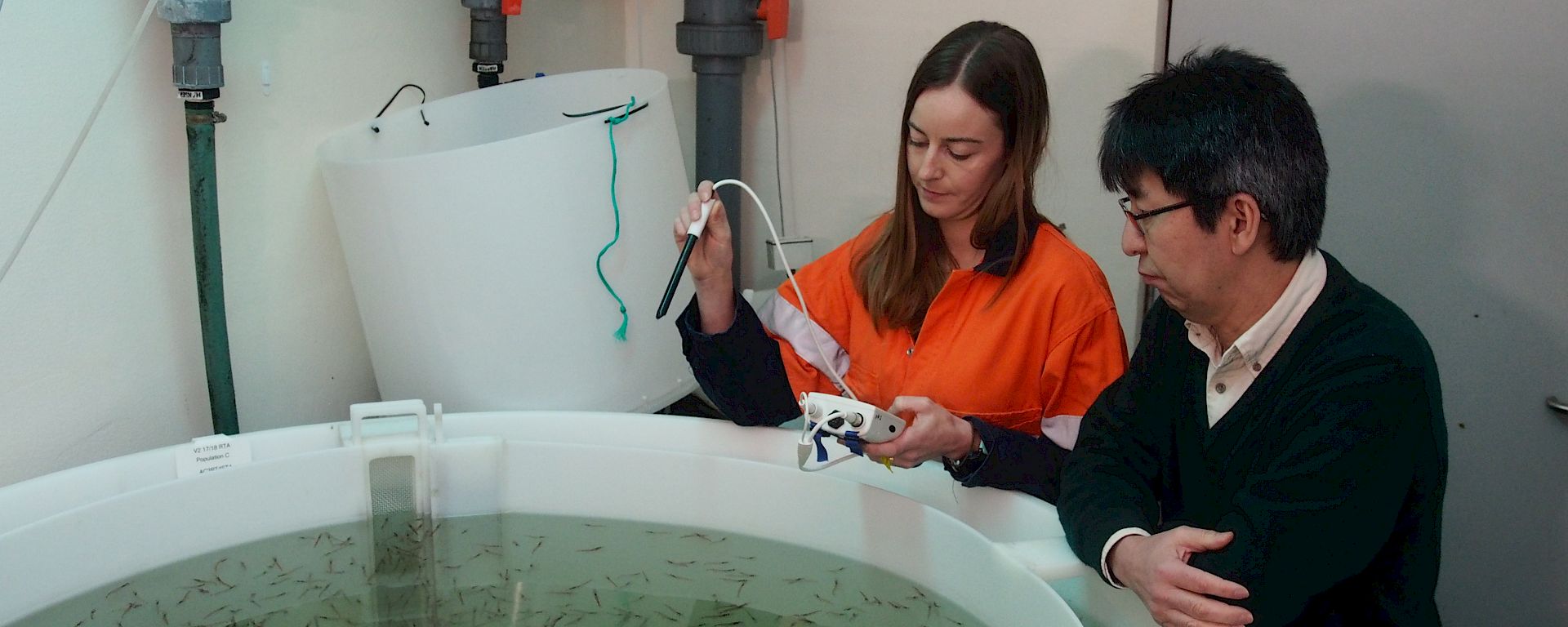 Two researchers in the krill aquarium