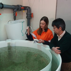 Two researchers in the krill aquarium (Photo: Wendy Pyper) Two researchers in the krill aquarium