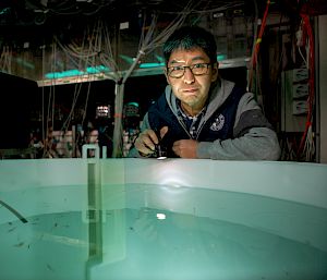 A scientist stands in an aquarium lab. He looks into a large blue tub in which small organisms are swimming.