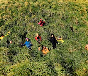Expeditioners hiding in the tussock grass on a hill