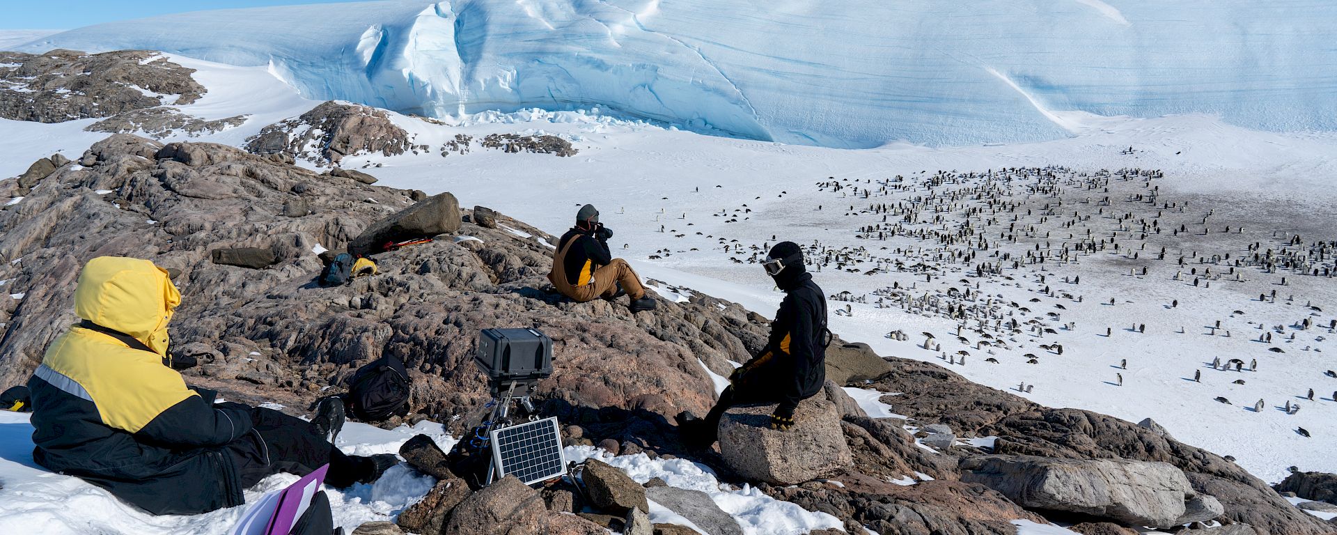 Expeditioners sit on the rocks above a penguin colony with a black box containing a camera. The ice below is covered with black and white birds.