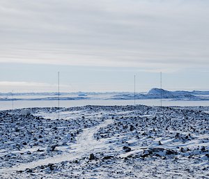 Antennae in snowy landscape.