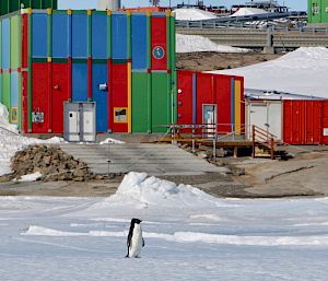 A penguin stands on snow and ice with a large, multi-coloured metal containerised building in the background.