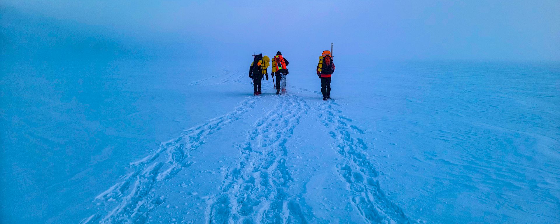 3 expeditioners walk into the distance in an icy, misty landscape.