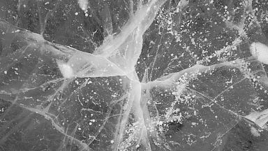 Monochrome close-up image of frozen bubbles in ice