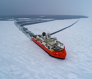 An aerial drone photo of an orange and white ship breaking through sea ice. There is a long channel of water behind the ship where it has broken a path through the white expanse of the ice.