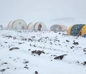 A cluster of soft and hard-shell tents on flat rocky ground in blizzard conditions.