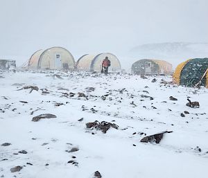 A cluster of soft and hard-shell tents on flat rocky ground in blizzard conditions.