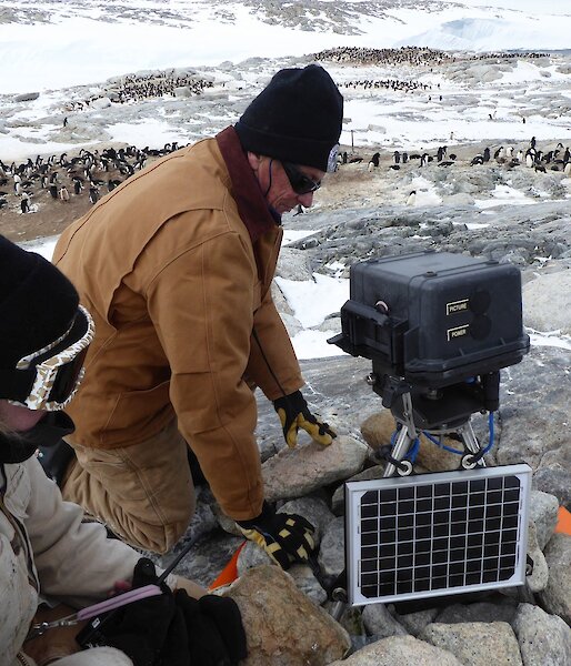 Two researchers setting up a new camera to monitor the Adelie penguin colony