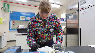 An expeditioner stands at a desk, mixing liquids in beakers and taking notes.