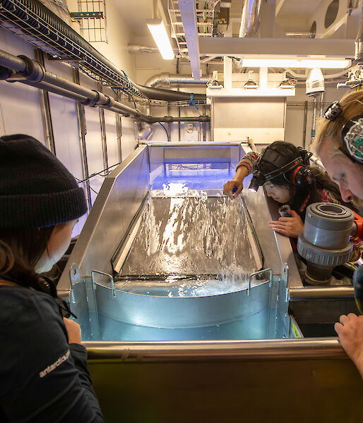 Scientists work in the wet well on RSV Nuyina capturing krill